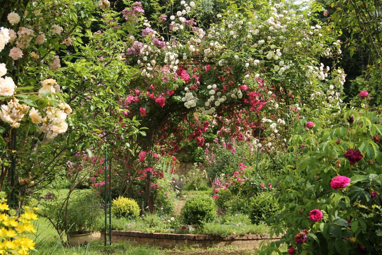 Villa Domaine des Roches Blanches Le Pin  Exterior foto